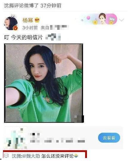 娱乐八卦吃瓜图片表情包可爱,娱乐八卦表情包大集合  第1张